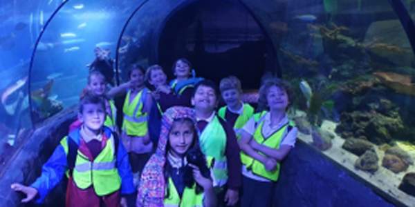 Year 2 Trip to Chessington Zoo