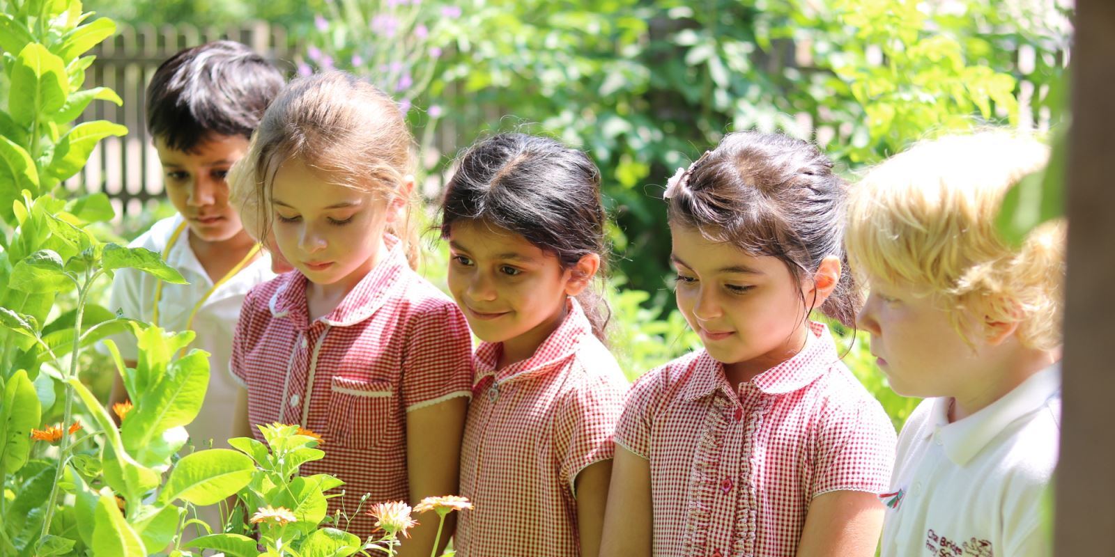 primary year 3 girls photos Year 3 | Chase Bridge Primary